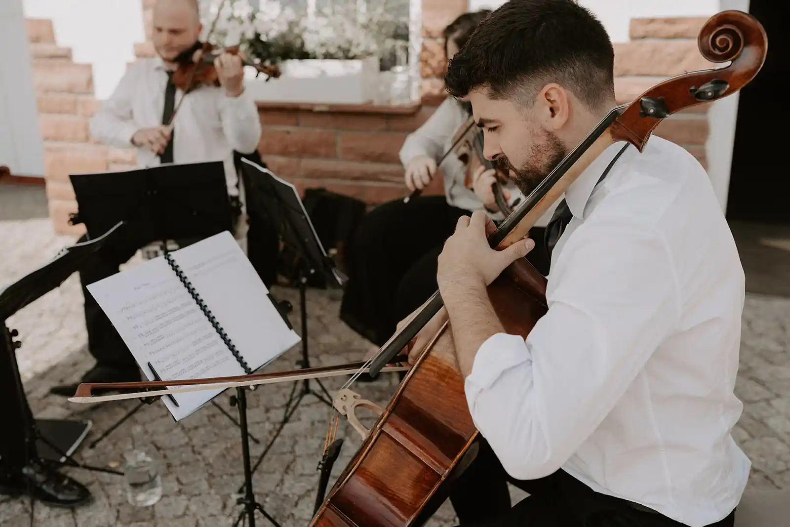 Astoria String Quartet begleitet den Sektempfang bei einer Trauung auf dem Hohen Darsberg